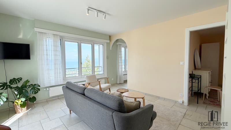 2.5-room apartment, furnished with lake view (4)