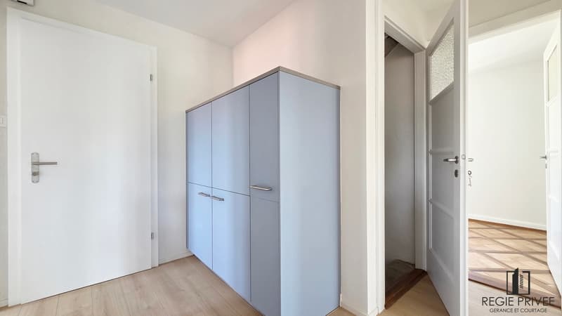 Appartement avec sous-sol privatif et immense jardin (7)