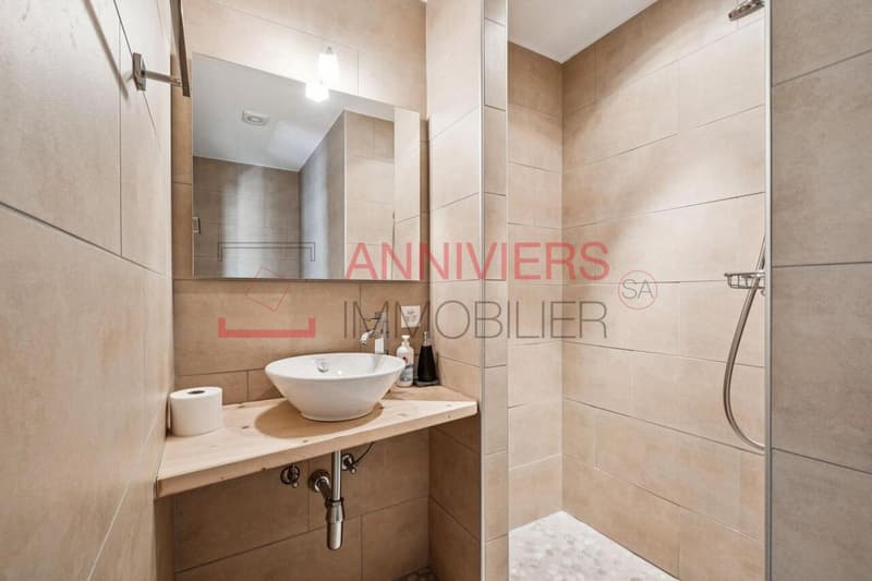 Salle d'eau - douche