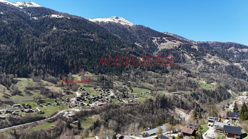 Vue exceptionnelle sur les montagnes et le fond de vallée