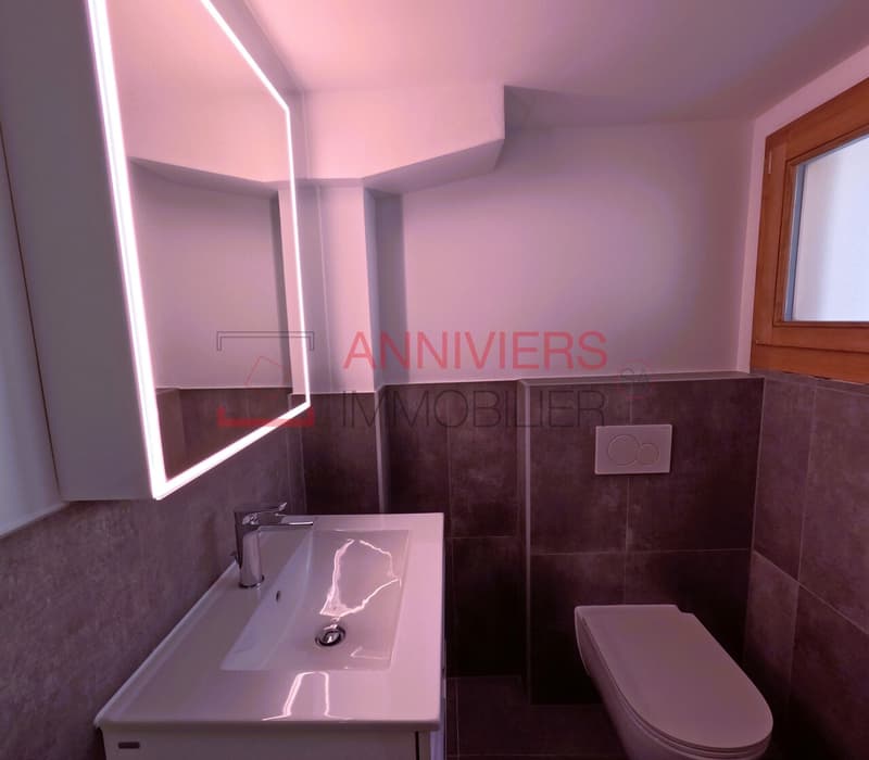 Salle d'eau avec douche, lavabo, WC