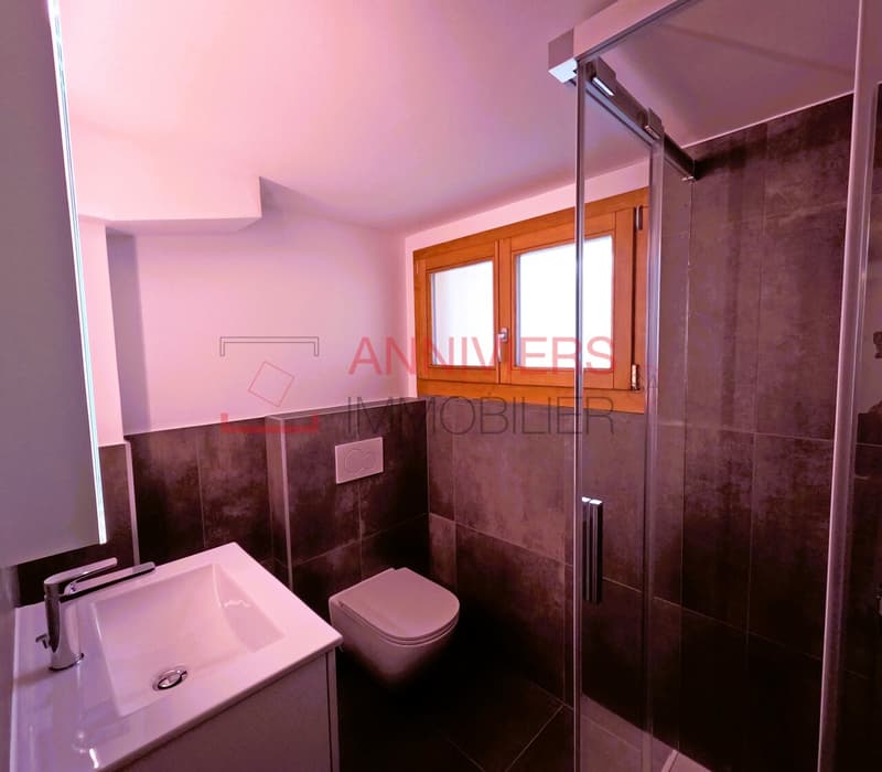 Salle d'eau avec douche, lavabo, WC