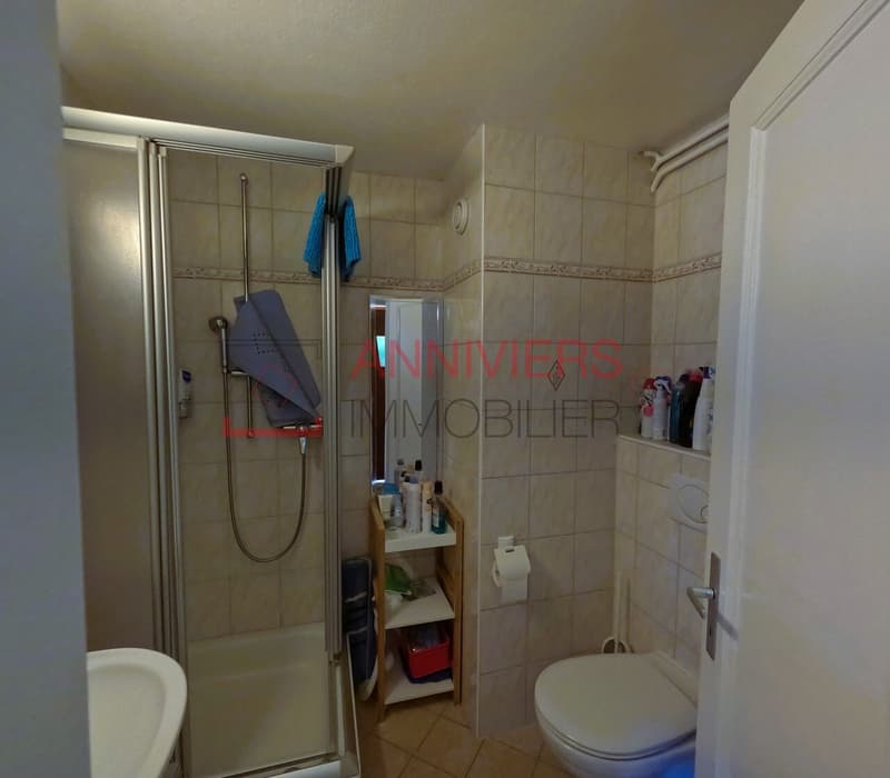 Salle d'eau avec douche, lavabo et WC