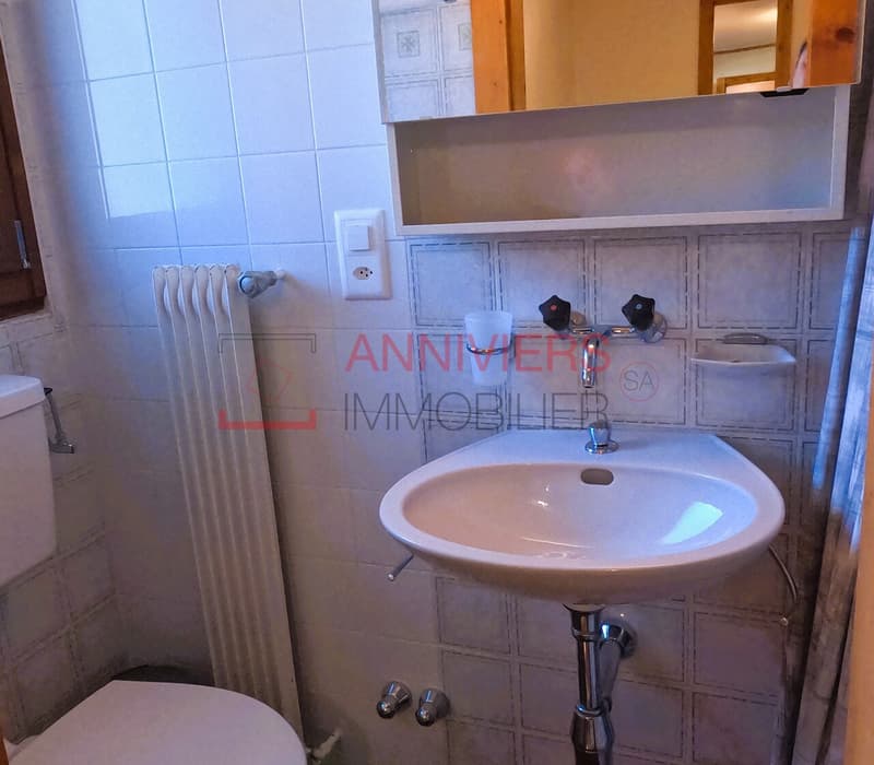 Salle d'eau avec douche, lavabo et WC