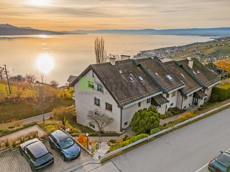 Magnificent 6-room duplex apartment with sublime view (10)