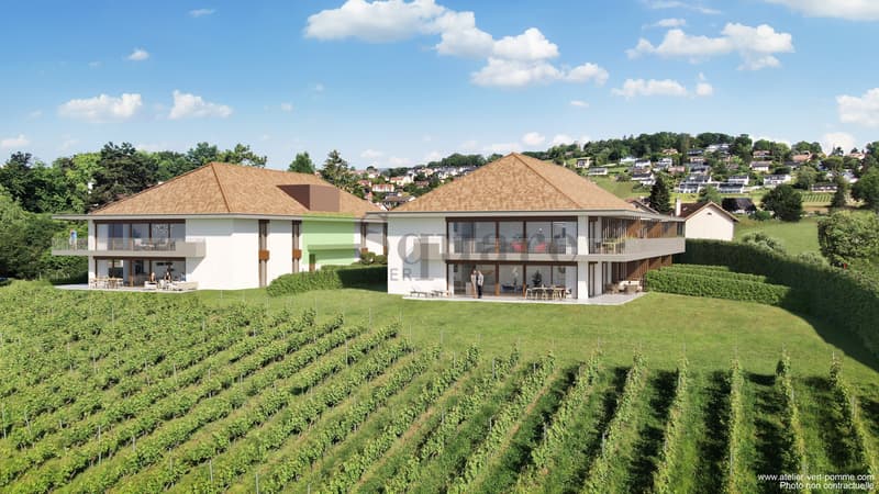 Magnifico appartamento di 3,5 locali in una nuova residenza nel cuore delle vigne (3)