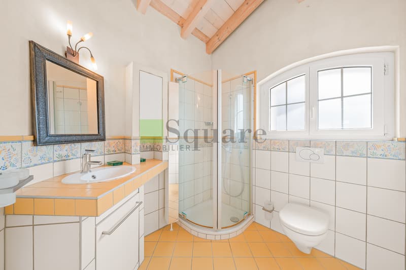 Provençal villa of exception with pool in Fully (13)