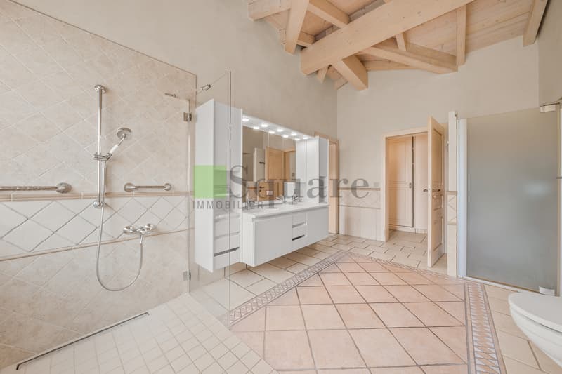 Provençal villa of exception with pool in Fully (12)