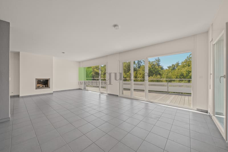 Magnificent 4.5-room apartment (6)