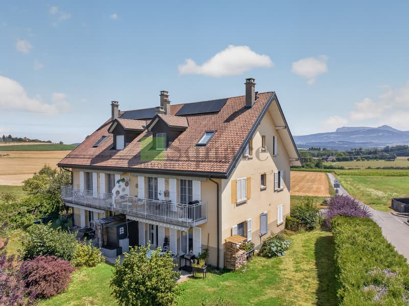 Magnificent 5.5-room duplex with unobstructed view (1)