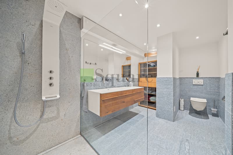 Magnifique appartement en duplex de 6 pièces avec sublime vue (6)