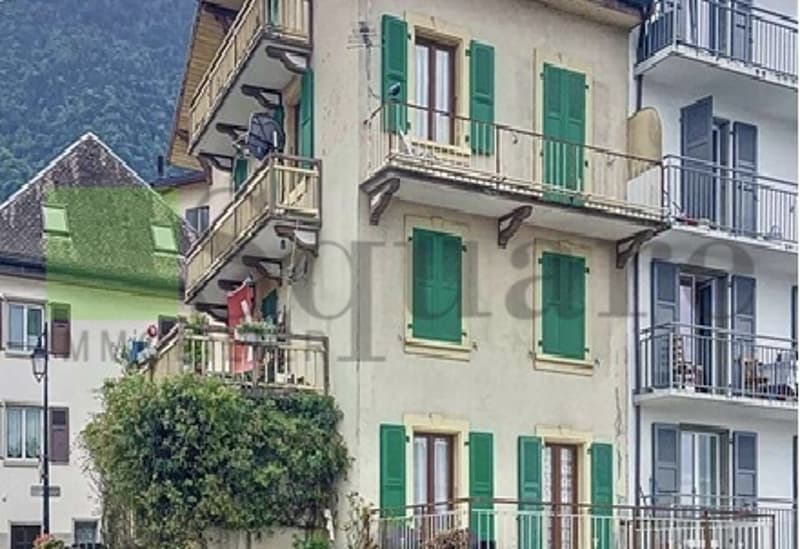 Maison locative avec vue panoramique sur le lac Léman (3)