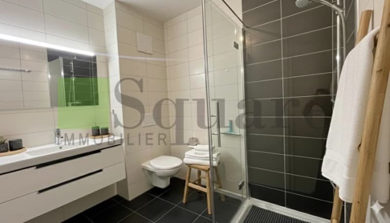 Magnifique appartement en attique de 4.5 pièces - terrasse panoramique (6)