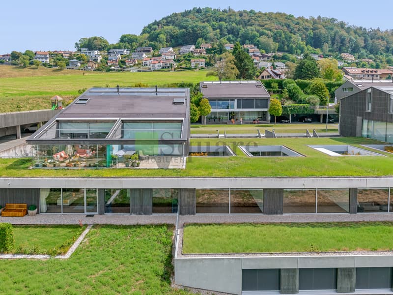 Appartement d'exception avec vue panoramique sur le Léman - Grandvaux (3)