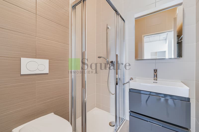 Appartement d'exception avec vue panoramique sur le Léman - Grandvaux (9)