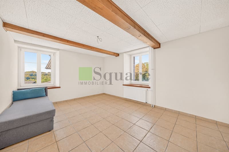 Maison locative de 12 pièces (8)