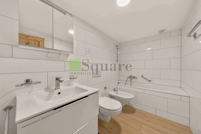Maison locative de 12 pièces (4)