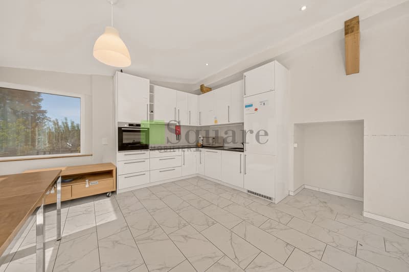 Maison locative de 12 pièces (11)