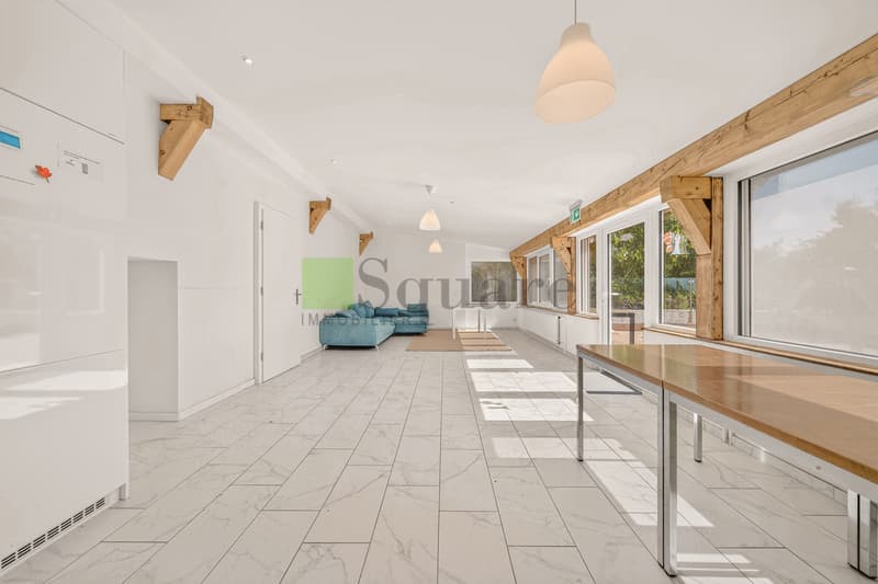 Maison locative de 12 pièces (10)