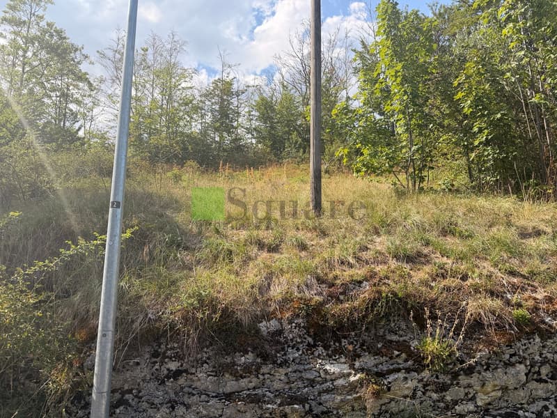 Joli terrain constructible (4)