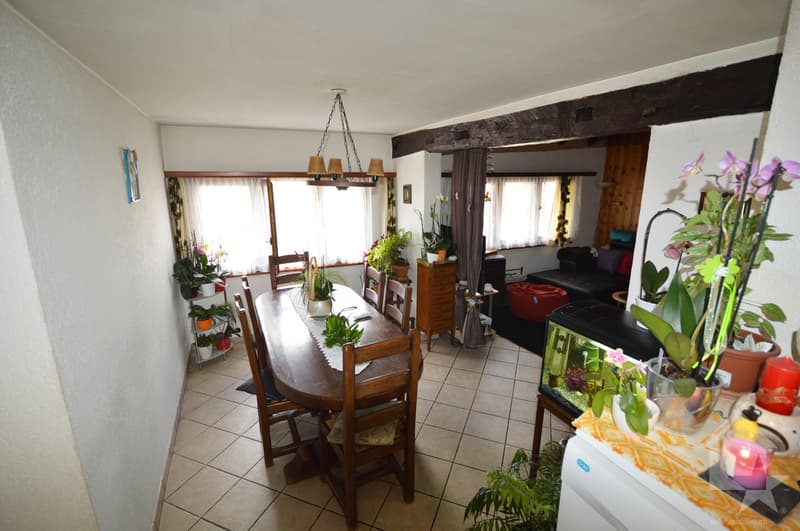 Village house to renovate (10)