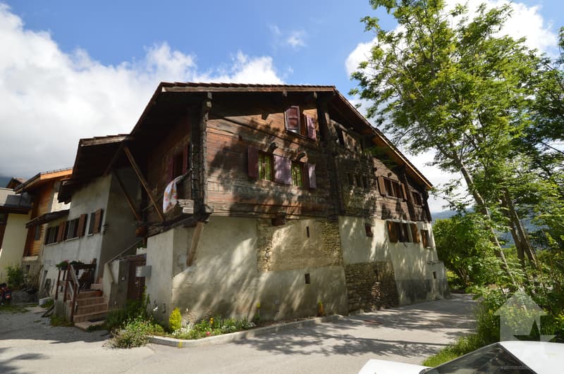 Village house to renovate (2)