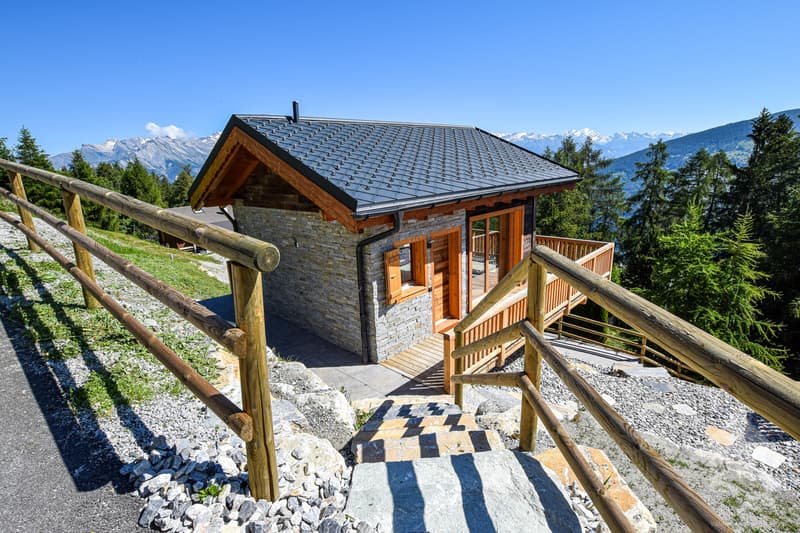 Charmant petit chalet (3)