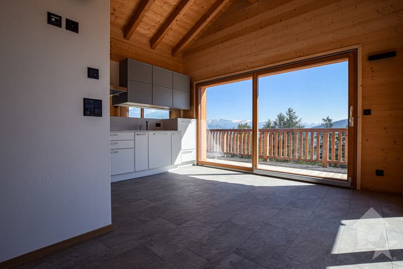 Charmant petit chalet (6)