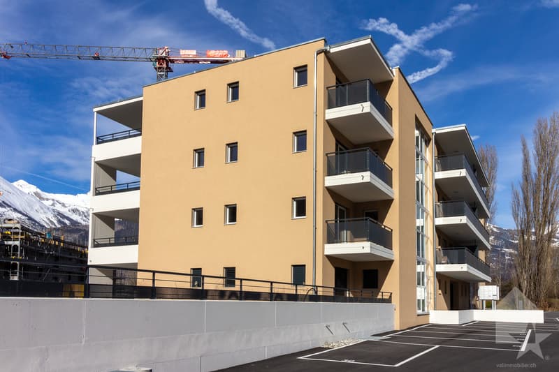 Appartamento 3.5 locali di 105 m2 con terrazza e prato (7)
