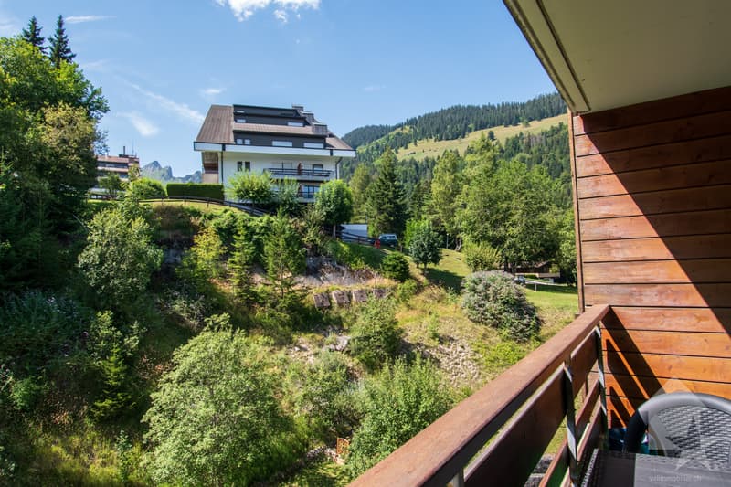 Vue depuis le balcon