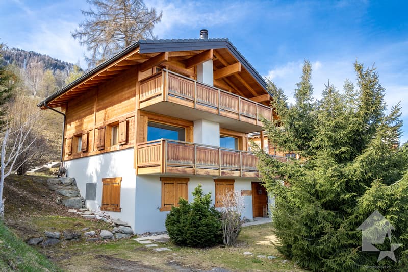 Lumineux chalet ski-in ski-out, 3.5 p, 270 m2, vue imprenable (1)