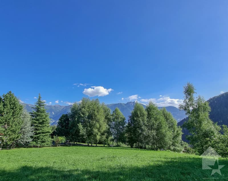 5.5-room chalet on the plan, quiet, sunny, beautiful view (2)