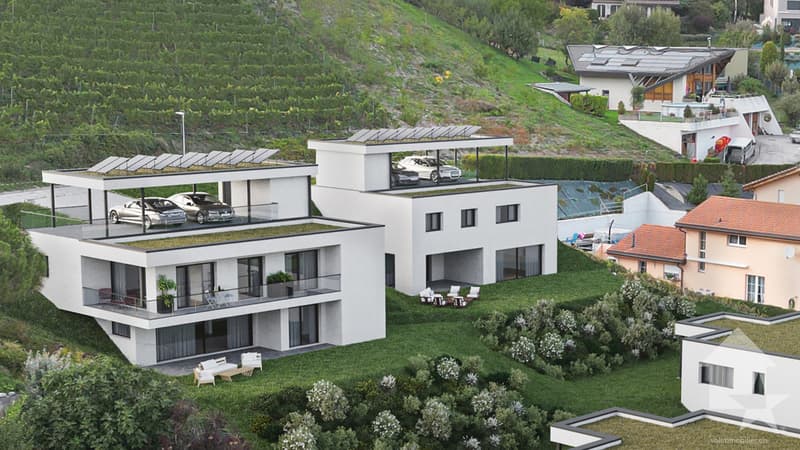 Magnifique villa d'architecte de 250 m2, parcelle de 600 m2 (1)