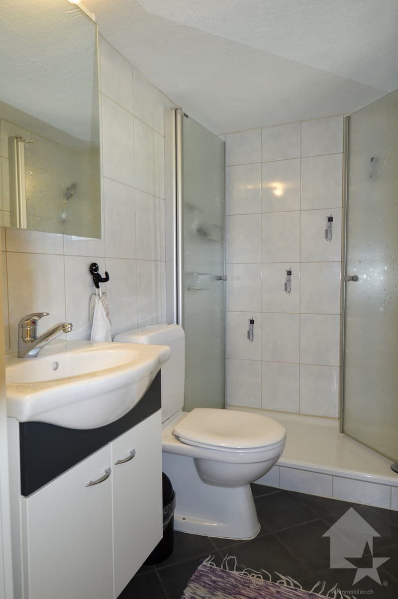 Appartamento triplex idilliaco (4)
