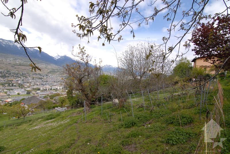 Magnificent plot in Salins (7)