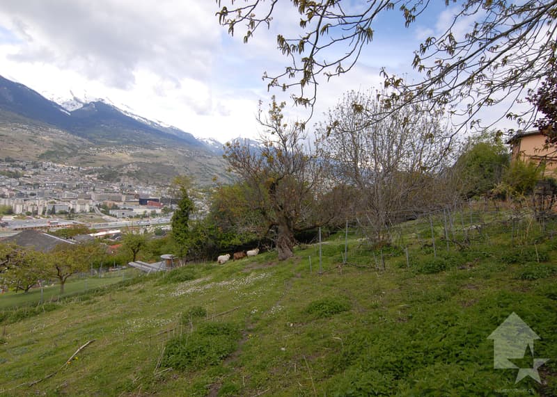 Magnificent plot in Salins (8)