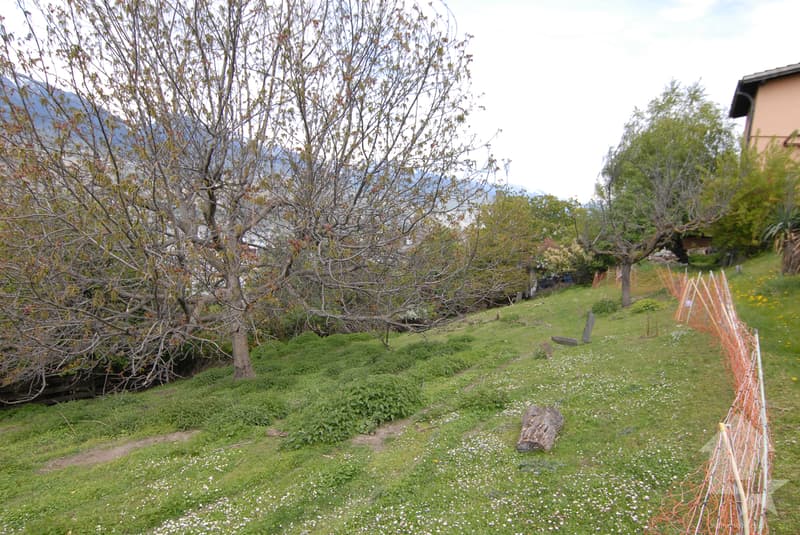Magnificent plot in Salins (10)