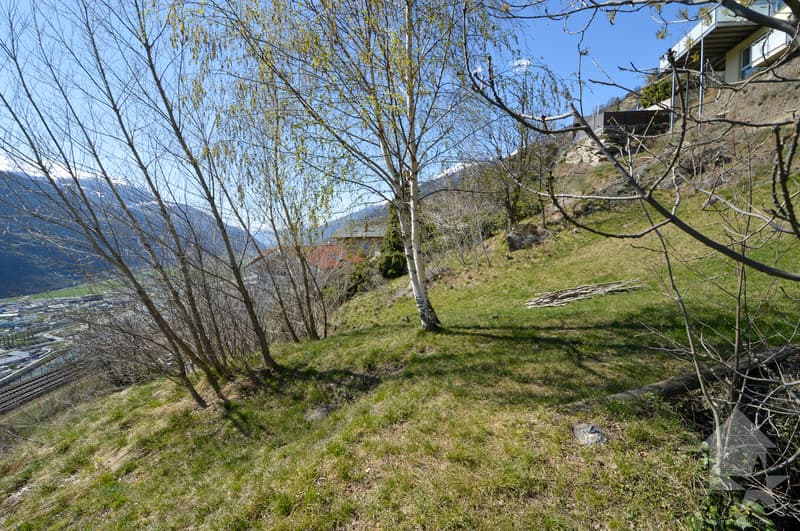 Magnifico terreno edificabile per case unifamiliari (3)