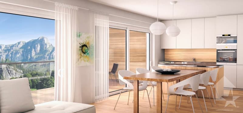 Nuovi appartamenti residenziali di 5,5 locali (6)