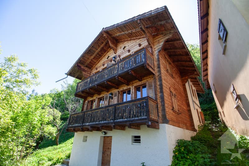 Valaisan chalet with 4.5 rooms, just a stone's throw from the Piste de l'Ours (1)