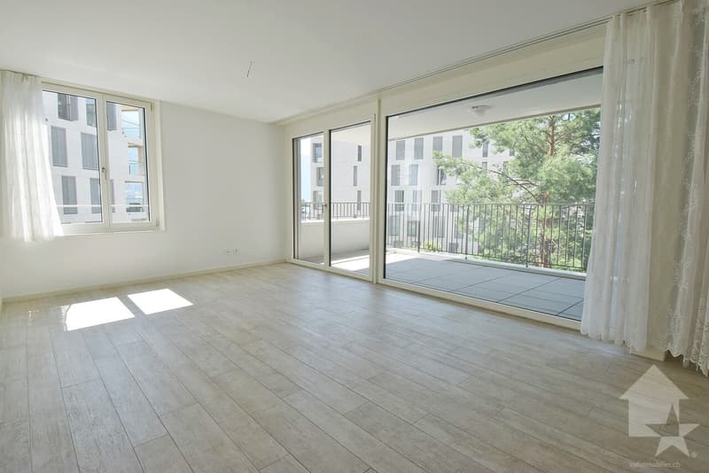 Magnifique appartement de 4.5 pcs au centre de Montreux à 2 pas du lac (5)