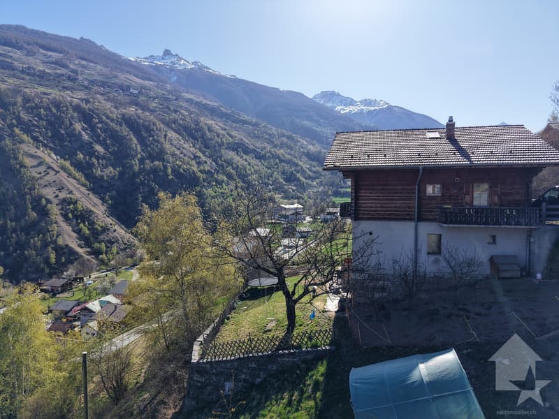 For sale well-located land in Euseigne (5)
