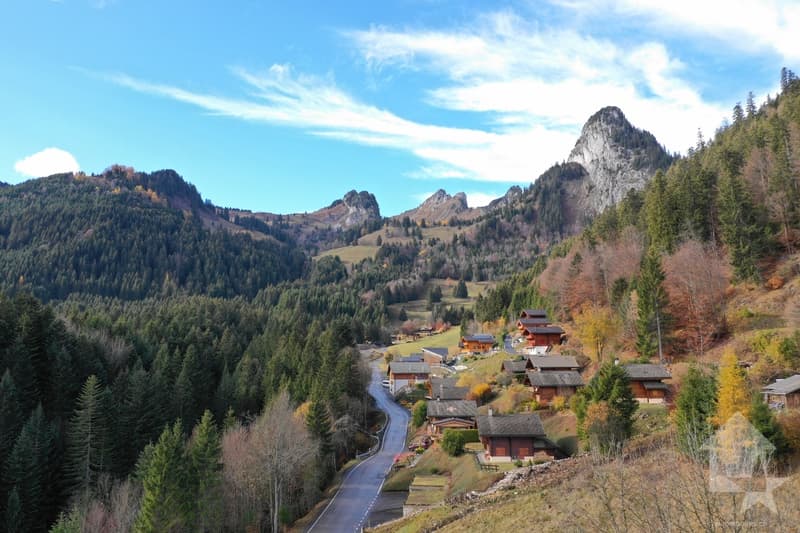 Torgon, building plot with building permit (3)