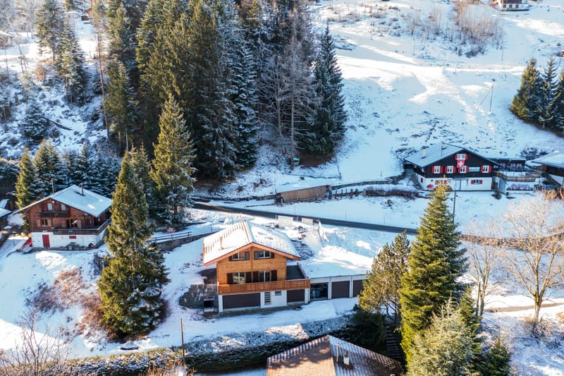 Das neue Chalet in Les Cerniers ist sofort verfügbar (3)