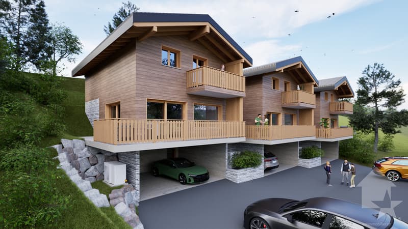 Magnificent 4.5-room chalet with terrace and lawn (2)