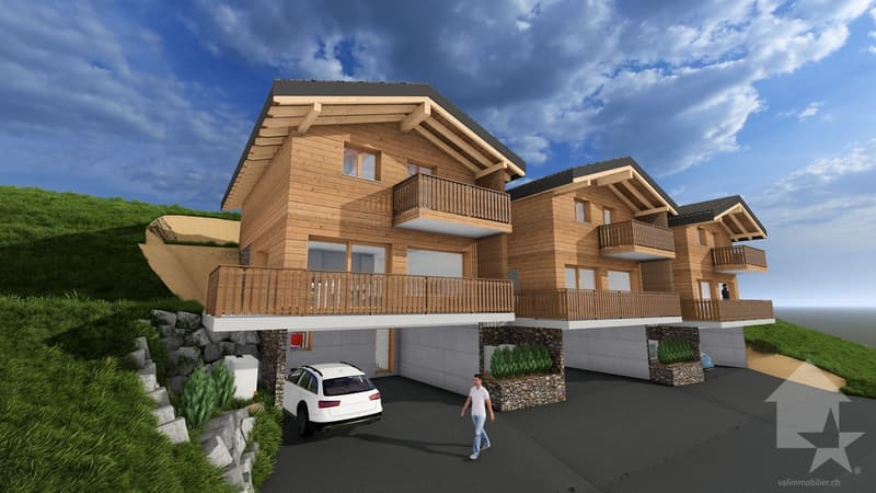 Magnificent 4.5-room chalet with terrace and lawn (4)