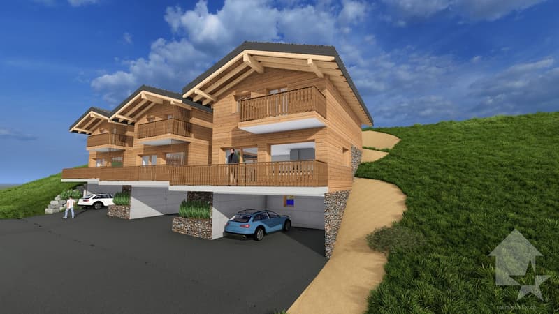Magnificent 4.5-room chalet with terrace and lawn (5)