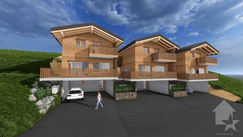 Magnificent 4.5-room chalet with terrace and lawn (6)