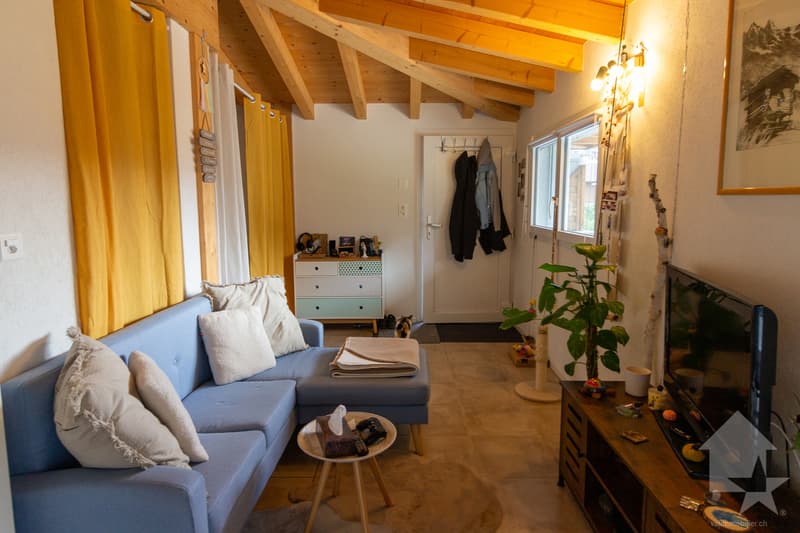 Villa / building with 2 apartments 1x 3.5 rooms in duplex + 1x studio (13)