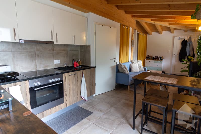 Villa / building with 2 apartments 1x 3.5 rooms in duplex + 1x studio (12)